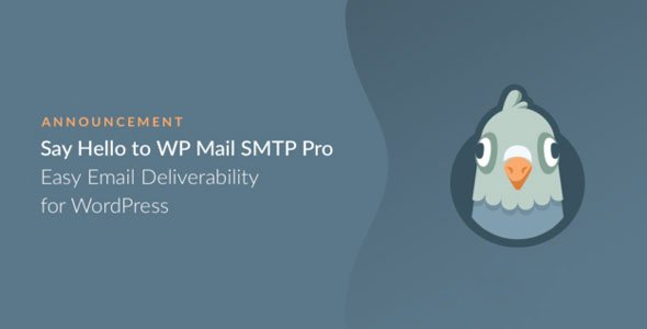 Wp Mail Smtp Pro V3.10.1